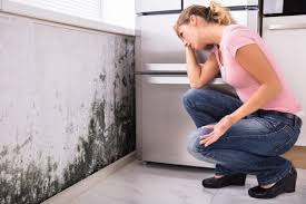 Best Forensic Mold Investigation  in Richmond, IL